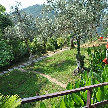 Villa Oliva New Athos Exterior photo