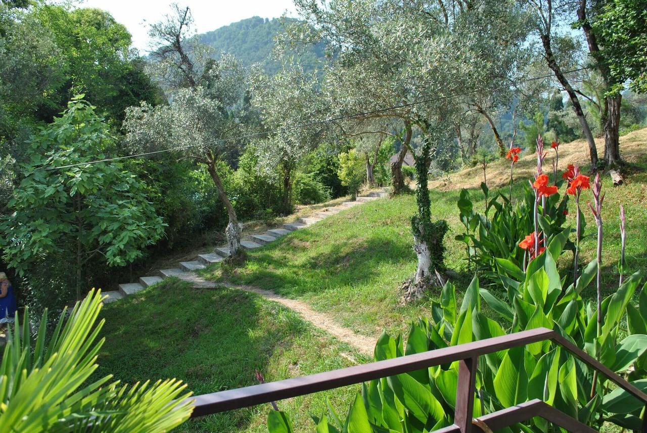 Villa Oliva New Athos Exterior photo